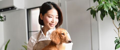 補助金を使って、自宅でペット系ビジネスを始めた主婦のイメージ