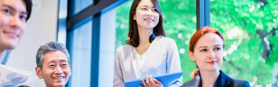 補助金を使って、インバウンドの客を増やすプロジェクトのイメージ